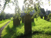 Exploring the landscape of Ford Moss