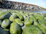 Craster: Rocks around the Clock  