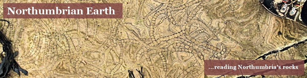 Northumbrian Earth ...reading Northumbria's rocks