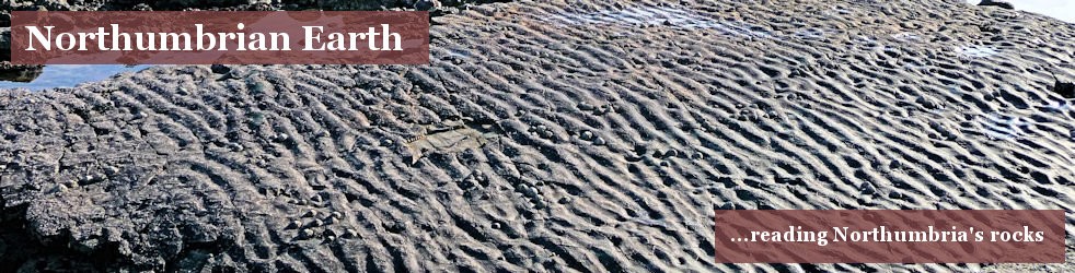 Northumbrian Earth ...reading Northumbria's rocks