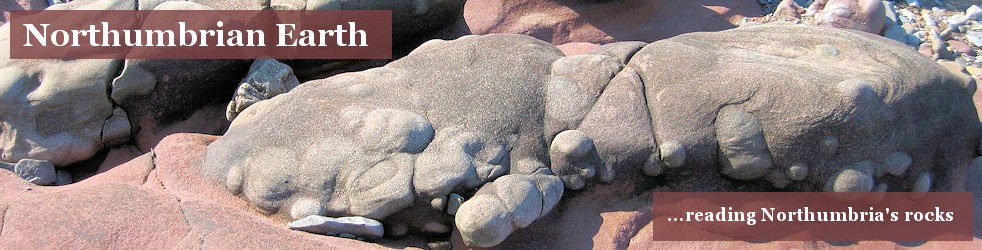 Northumbrian Earth ...reading Northumbria's rocks