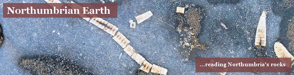 Northumbrian Earth ...reading Northumbria's rocks